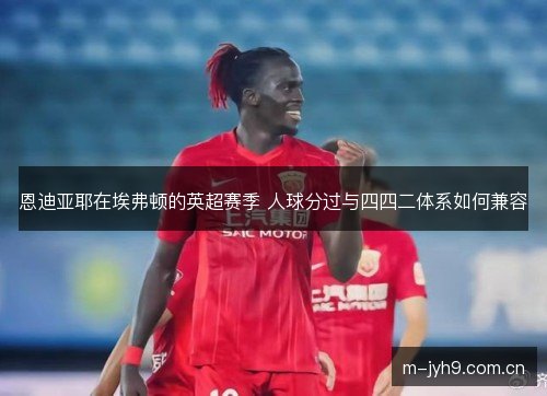 恩迪亚耶在埃弗顿的英超赛季 人球分过与四四二体系如何兼容 恩迪亚耶在埃弗顿的英超赛季 人球分过与四四二体系如何兼容